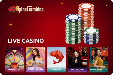 Spinogambino live casino